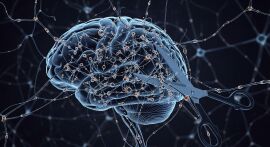 Imagem do artigo Poda neuronal no autismo: entenda o que é, quando acontece e como afeta o desenvolvimento